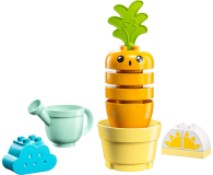 LEGO DUPLO 10981 Rosnąca marchewka - 1091288 - zdjęcie 2